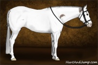 Horse Color:Brown Splash Tobiano 