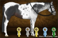 Horse Color:Brown Tobiano 