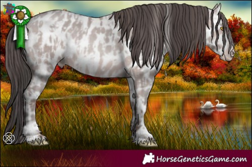 Horse Color:Platinum Amber Champagne Leopard  and Platinum Amber Champagne Leopard 