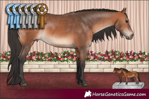 Horse Color:Bay Mushroom 