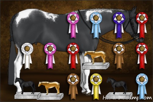 Horse Color:Black Tobiano 