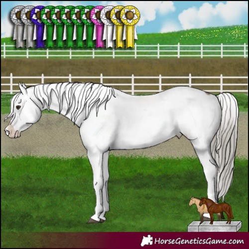 Horse Color:Liver Red Dun Mushroom Snowcap