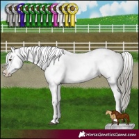 Horse Color:Liver Red Dun Mushroom Appaloosa