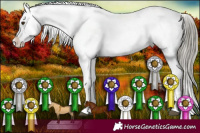 Horse Color:Liver Red Dun Mushroom Appaloosa 