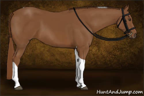 Horse Color:Chestnut Tobiano 