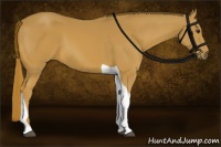 Horse Color:Chestnut Tobiano 