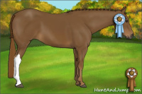 Horse Color:Gray Chestnut