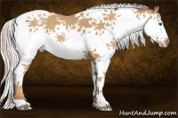 Horse Color:Silver Classic Champagne Splash Tobiano 