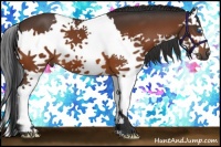 Horse Color:Bay Splash 