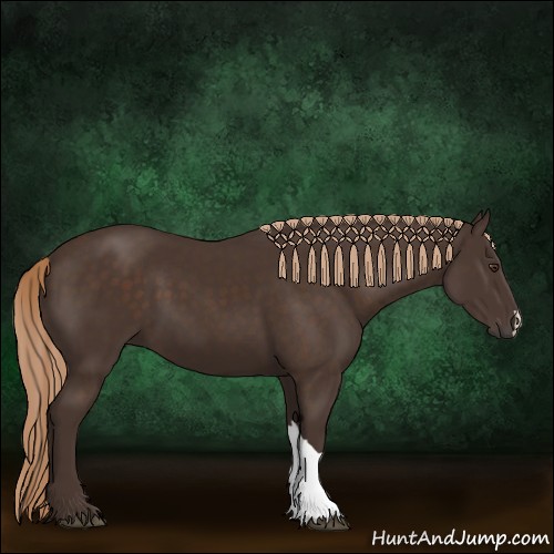 Horse Color:Liver Chestnut
