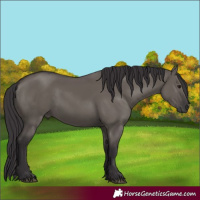 Horse Color:Smoky Grullo 
