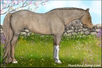 Horse Color:Chocolate Palomino Roan