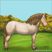 Horse Color:Red Roan Pearl 