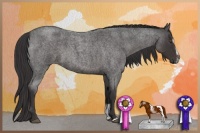 Horse Color:Smoky Blue Roan Sabino