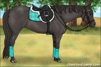 Horse Color:Smoky Blue Roan 