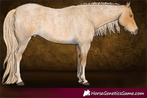 Horse Color:Palomino Roan 