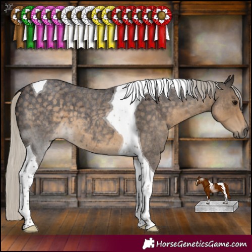 Horse Color:Silver Smoky Blue Roan Tobiano 