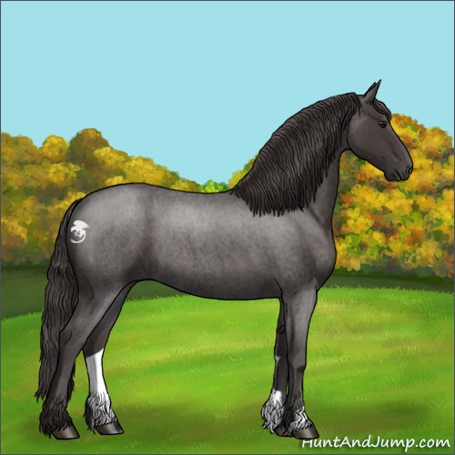 Horse Color:Smoky Blue Roan
