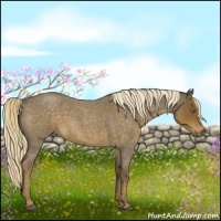 Horse Color:Chocolate Palomino Roan 
