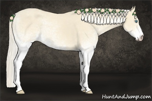Horse Color:White Spotted Cremello