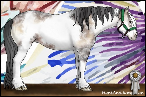 Horse Color:White Spotted Brown Roan Onyx Frame 