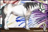 Horse Color:White Spotted Brown Roan Onyx Frame 
