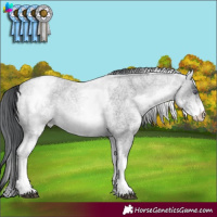 Horse Color:White Spotted Brown Chinchilla Roan