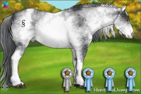 Horse Color:White Spotted Brown Chinchilla Roan 