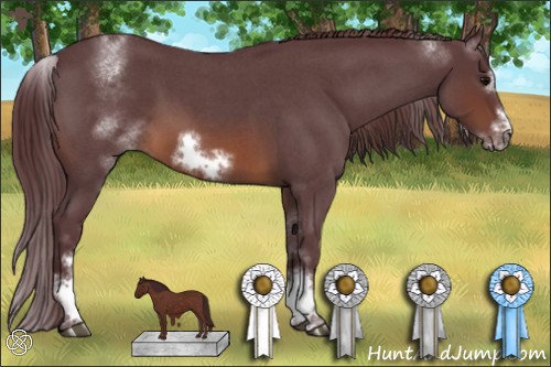 Horse Color:White Spotted Chocolate Brown Roan Frame 