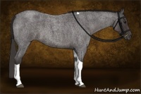 Horse Color:Smoky Blue Roan Tobiano