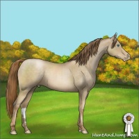 Horse Color:Smoky Blue Roan Pearl Mushroom 