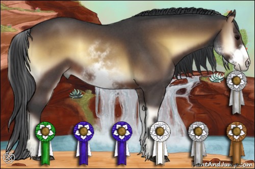 Horse Color:White Spotted Brown Roan Onyx Frame 