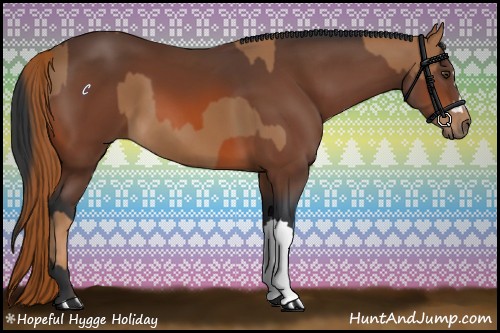 Horse Color:Chestnut  and Bay 
