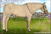 Horse Color:Palomino Roan 