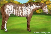 Horse Color:Chestnut  and Chestnut Frame 