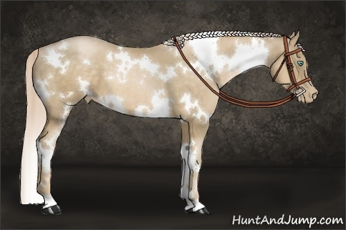 Horse Color:White Spotted Chocolate Palomino Pearl 