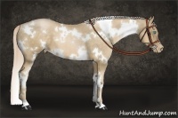 Horse Color:White Spotted Chocolate Palomino Pearl 