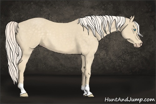 Horse Color:Cremello 