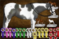 Horse Color:Black Sabino Tobiano 