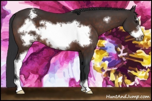 Horse Color:Brown Sabino Frame Varnish 