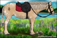 Horse Color:Palomino Ice Sabino 