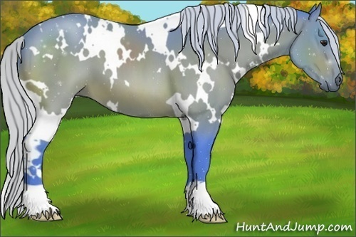 Horse Color:Watercolor White Spotted Silver Brown 
