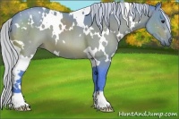 Horse Color:Watercolor White Spotted Silver Brown 