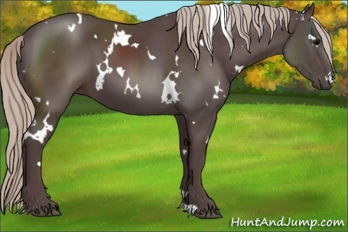 Horse Color:White Spotted Chocolate Silver Black 