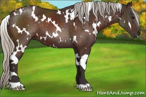 Horse Color:White Spotted Silver Brown 