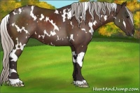 Horse Color:White Spotted Silver Brown