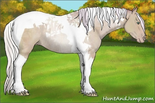 Horse Color:Watercolor Silver Classic Champagne Tobiano Rabicano