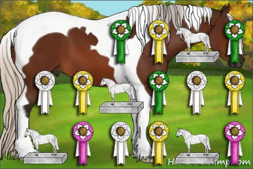 Horse Color:Gray Silver Bay Tobiano