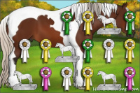 Horse Color:Gray Silver Bay Tobiano 