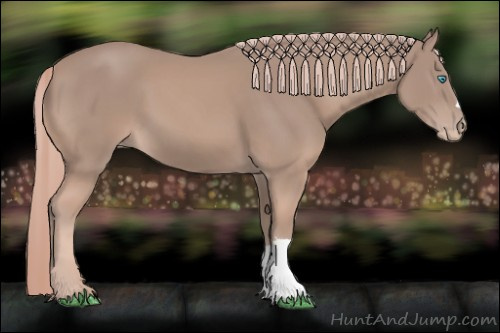 Horse Color:Gray Cremello 
